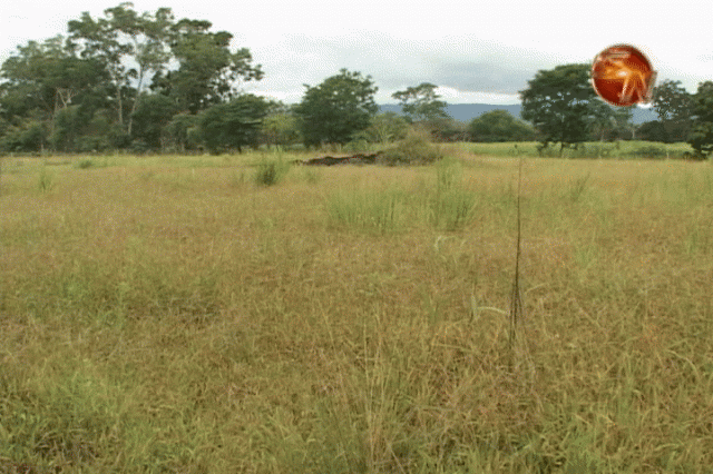 Esta es la propiedad. Esta es la propiedad.