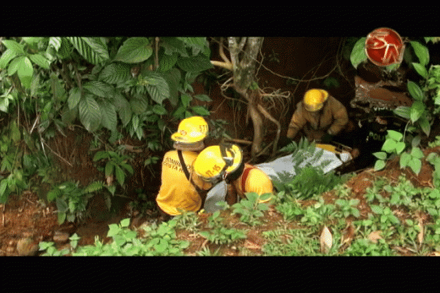 Falleció en el lugar. Falleció en el lugar.