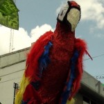 Desfile de Independencia, Pérez Zeledón - 2013