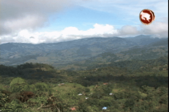 Harán convenio. Harán convenio.