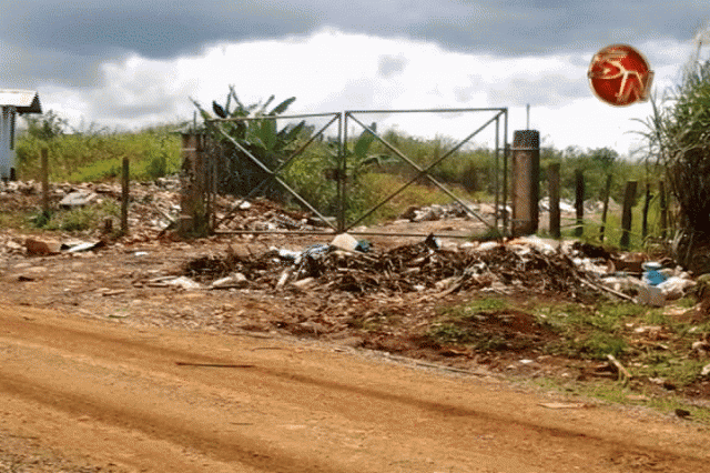 Tiran la basura en la calle. Tiran la basura en la calle.