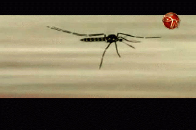 Hay menos casos presentados. Hay menos casos presentados.