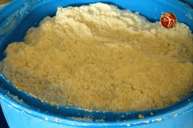 SENASA realizó auditoria. SENASA realizó auditoria.