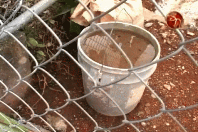 Piden eliminar los criaderos. Piden eliminar los criaderos.