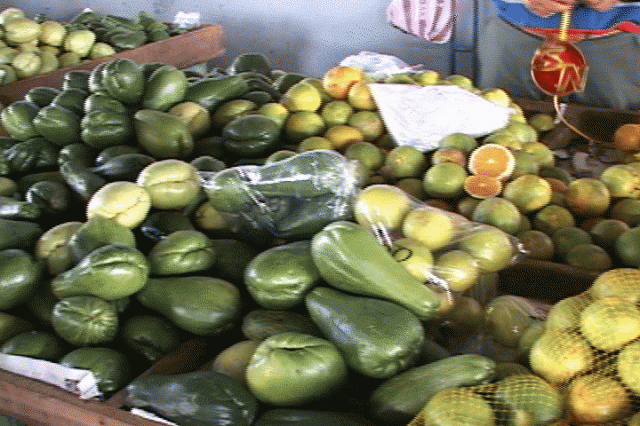 Apoya proyectos. Apoya proyectos.