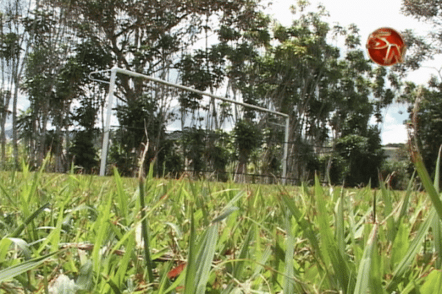 Hacen un inventario. Hacen un inventario.