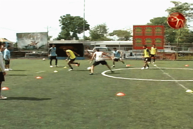 El equipo espera ganar. El equipo espera ganar.