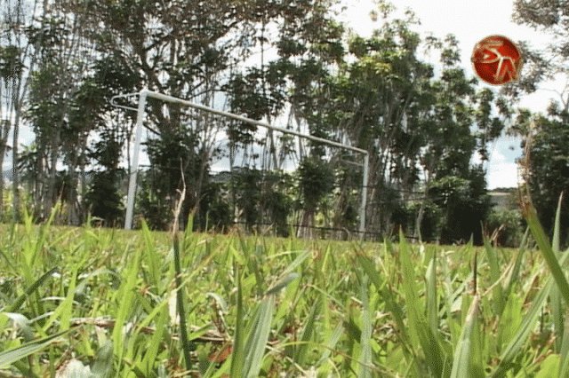 Mejorarán la cancha. Mejorarán la cancha.