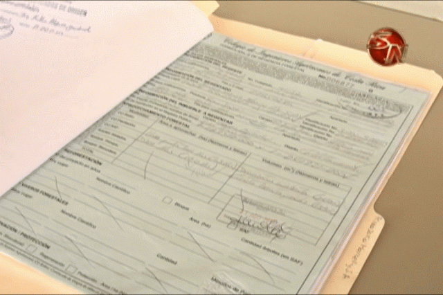 Pueden tramitar un certificado de origen. Pueden tramitar un certificado de origen.