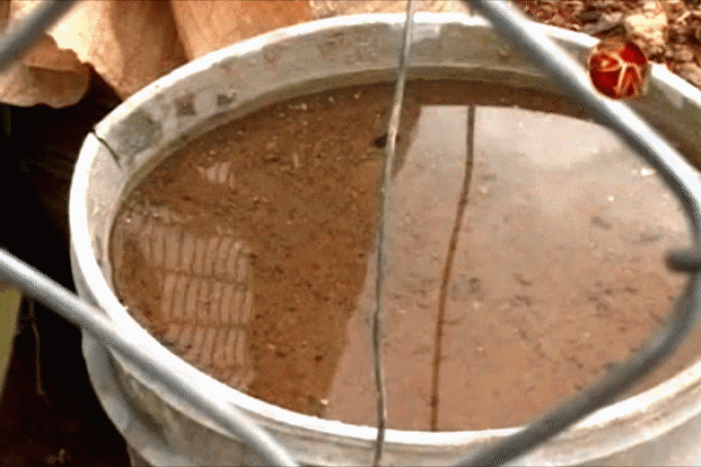 Continúan los casos. Continúan los casos.