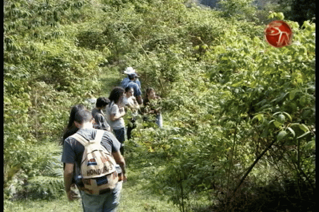 Hicieron un recorrido por la comunidad. Hicieron un recorrido por la comunidad.