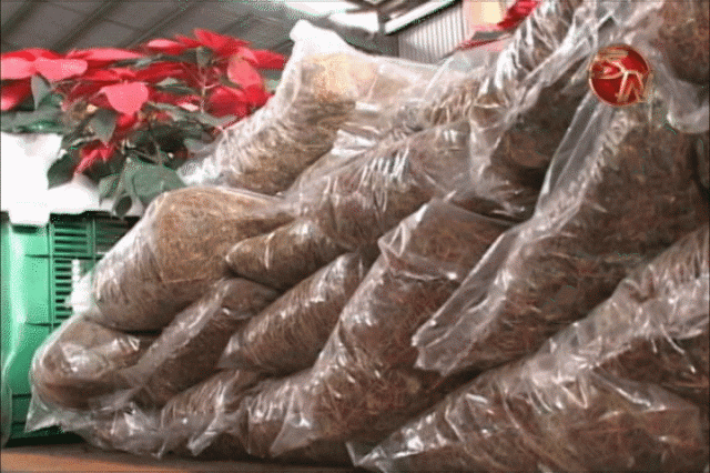 Solo se comercializa lana de potrero. Solo se comercializa lana de potrero.