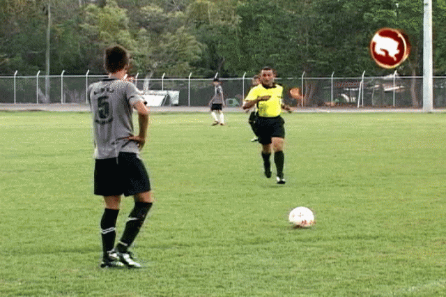 Partidos se retomarán hasta el otro año. Partidos se retomarán hasta el otro año.