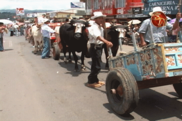 Harán un desfile. Harán un desfile.