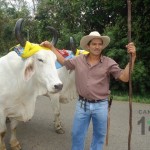 Desfile de Boyeros San Ramón Sur 2014