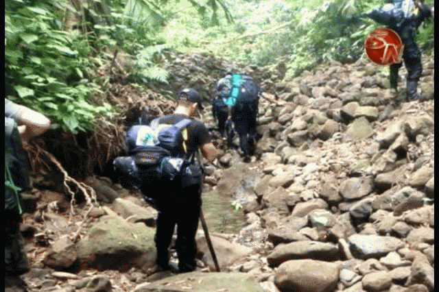 Continúa la búsqueda. Continúa la búsqueda.