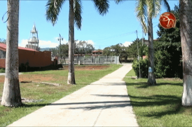 Campo ferial. Campo ferial.