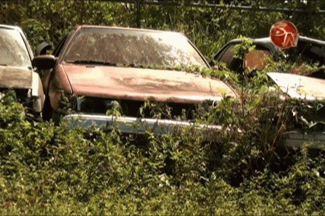 Hay un sinnúmero de carros en la delegación. Hay un sinnúmero de carros en la delegación.