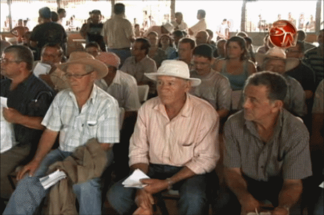 Cafetaleros de Pérez Zeledón. Cafetaleros de Pérez Zeledón.