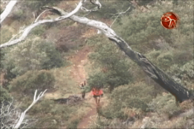 14 kilómetros de recorrido. 14 kilómetros de recorrido.