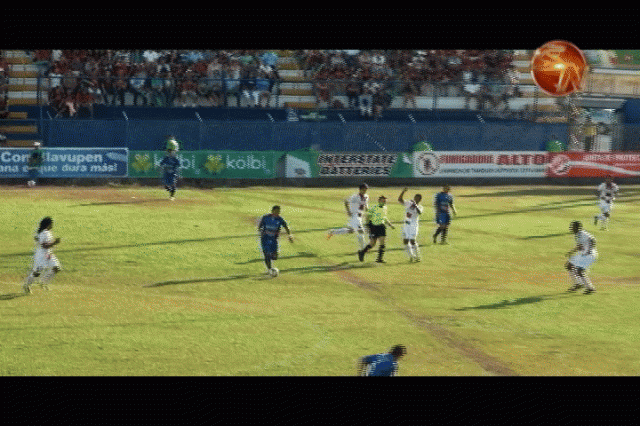 Los Guerreros del Sur. Los Guerreros del Sur.