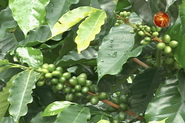 Mejor producción. Mejor producción.