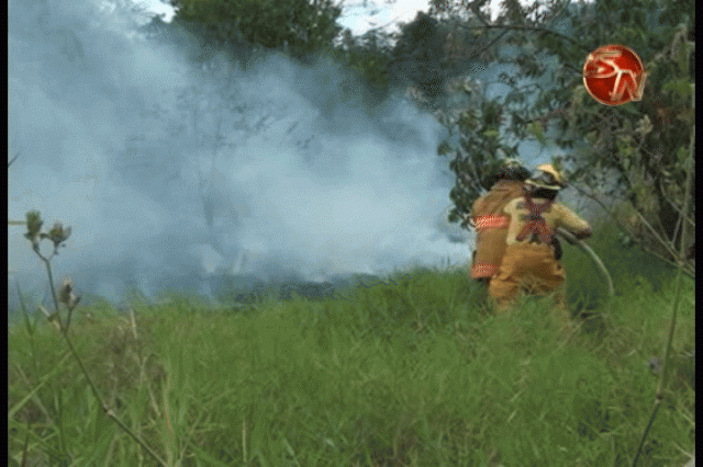 Incendio en Palmar Norte. Incendio en Palmar Norte.