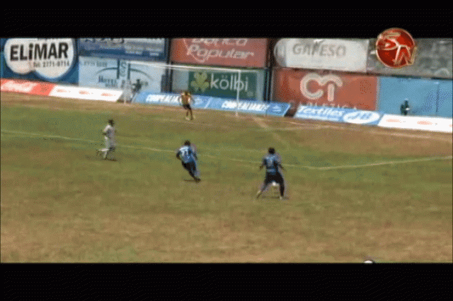 Los Guerreros del Sur. Los Guerreros del Sur.