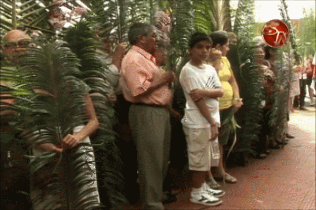 Domingo de Ramos. Domingo de Ramos.