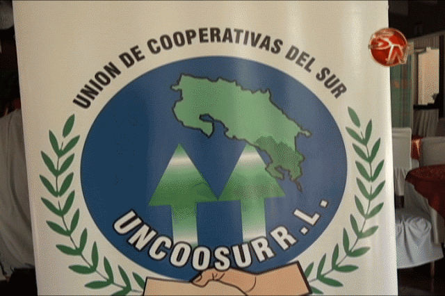 9 cooperativas. 9 cooperativas.