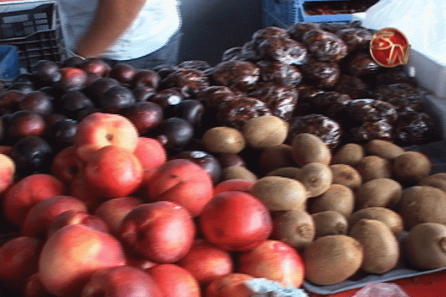 Comenzaron el Censo. Comenzaron el Censo.