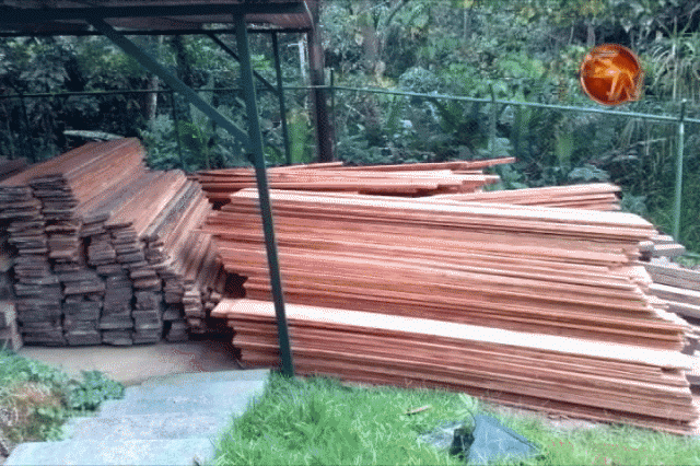 Parte del decomiso. Parte del decomiso.