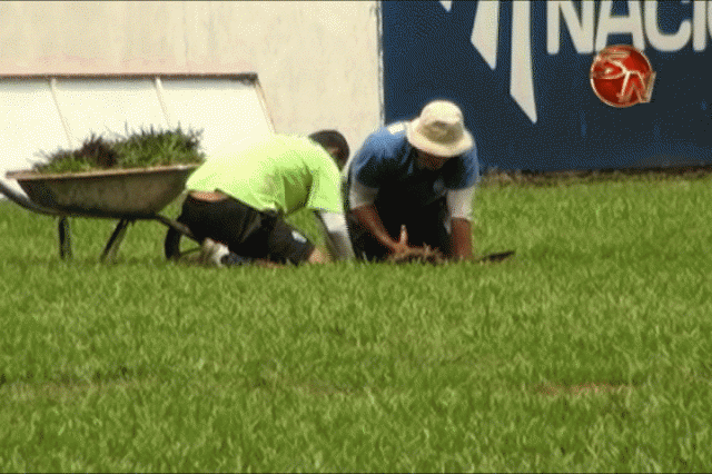 Mejoraron el césped. Mejoraron el césped.