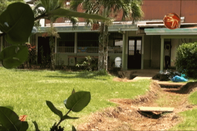 Escuela México Escuela México