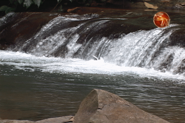 Fudebiol, Pérez Zeledón. Fudebiol, Pérez Zeledón.