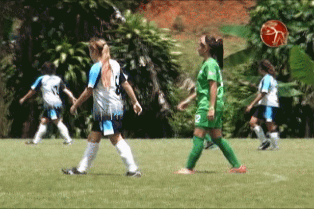 Buscarán el gane.  Buscarán el gane.