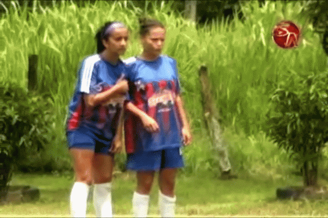 Clasificaron. Clasificaron.