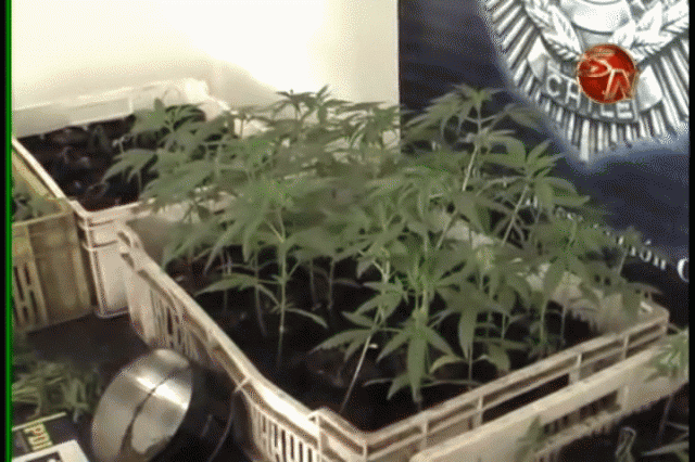 Imagen ilustrativa.  Imagen ilustrativa.