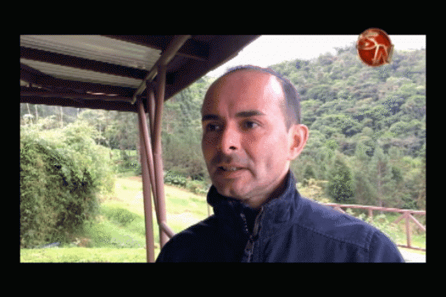 Randall Brenes, ONU. Randall Brenes, ONU.