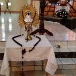 Peregrinación desde San Isidro de El General hasta la Basílica de los Ángeles