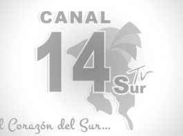 Tv Sur Canal 14 - Noticias