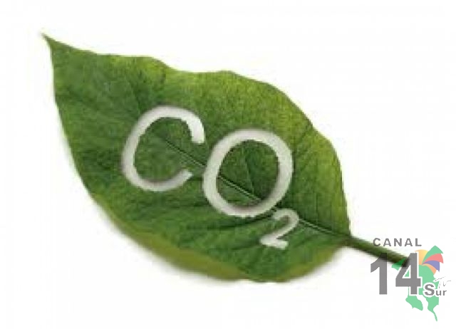 CO2