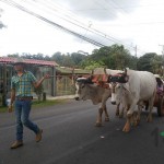 Desfile de Transportes de los años 40