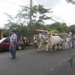 Desfile de Transportes de los años 40