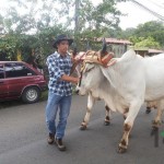 Desfile de Transportes de los años 40