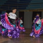Festival Folclórico 2014