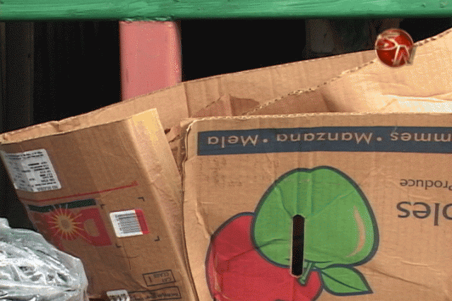 Coto Brus Recicla. Coto Brus Recicla.