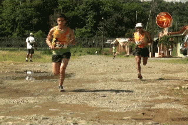 Participantes. Participantes.