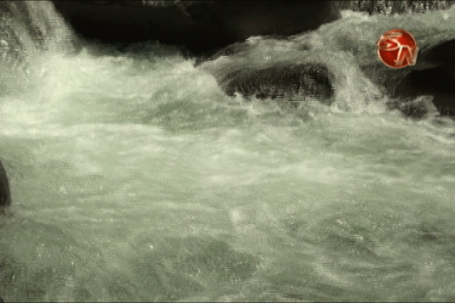 Para defender los ríos. Para defender los ríos.