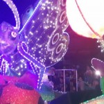 Desfile Luces del Valle 2014